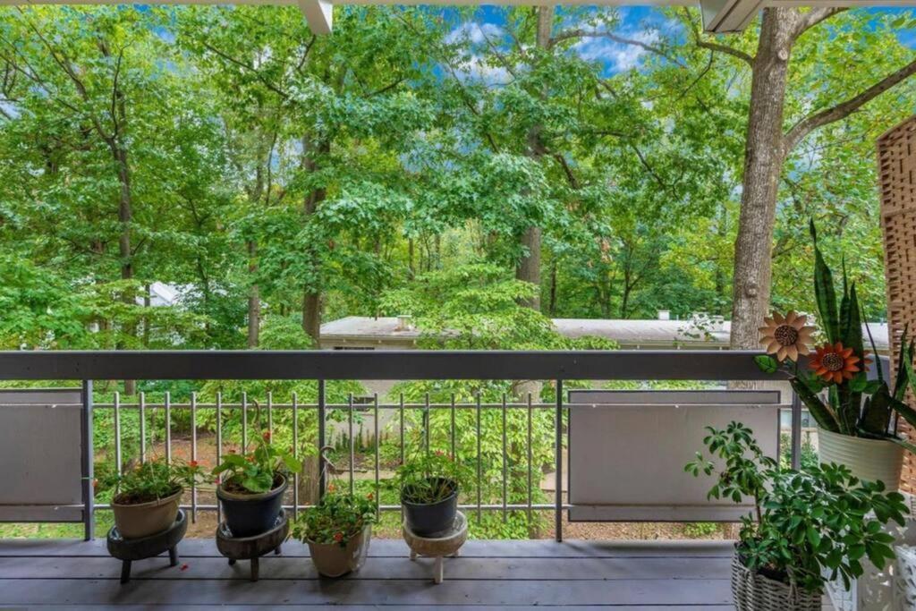 Entire One Bedroom Apartment Annandale Exterior foto