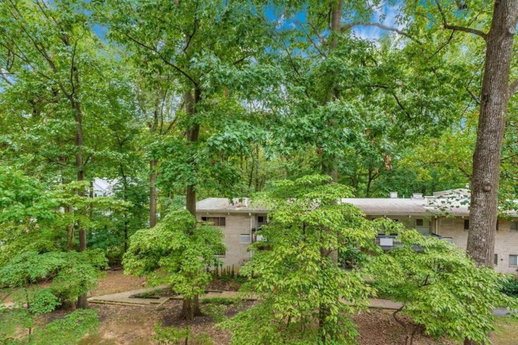 Entire One Bedroom Apartment Annandale Exterior foto